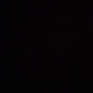 Meet your Posher, Patty